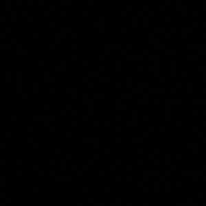 Meet your Posher, Emilee